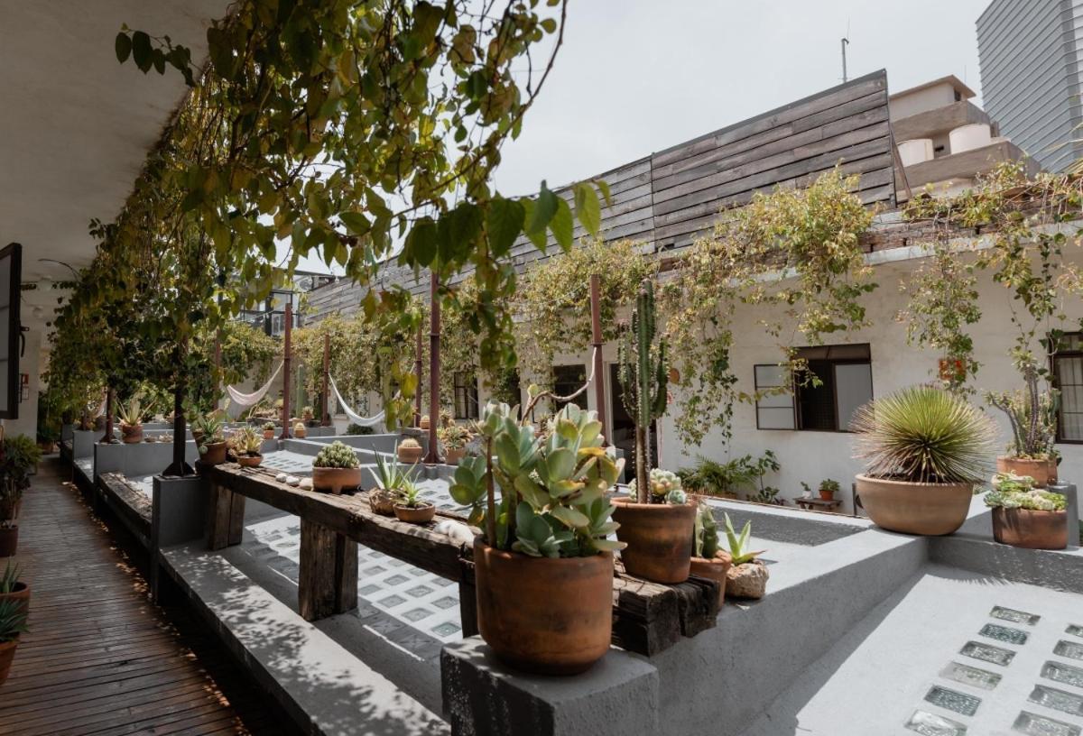 Casa Lomah Hotel Мехіко Екстер'єр фото