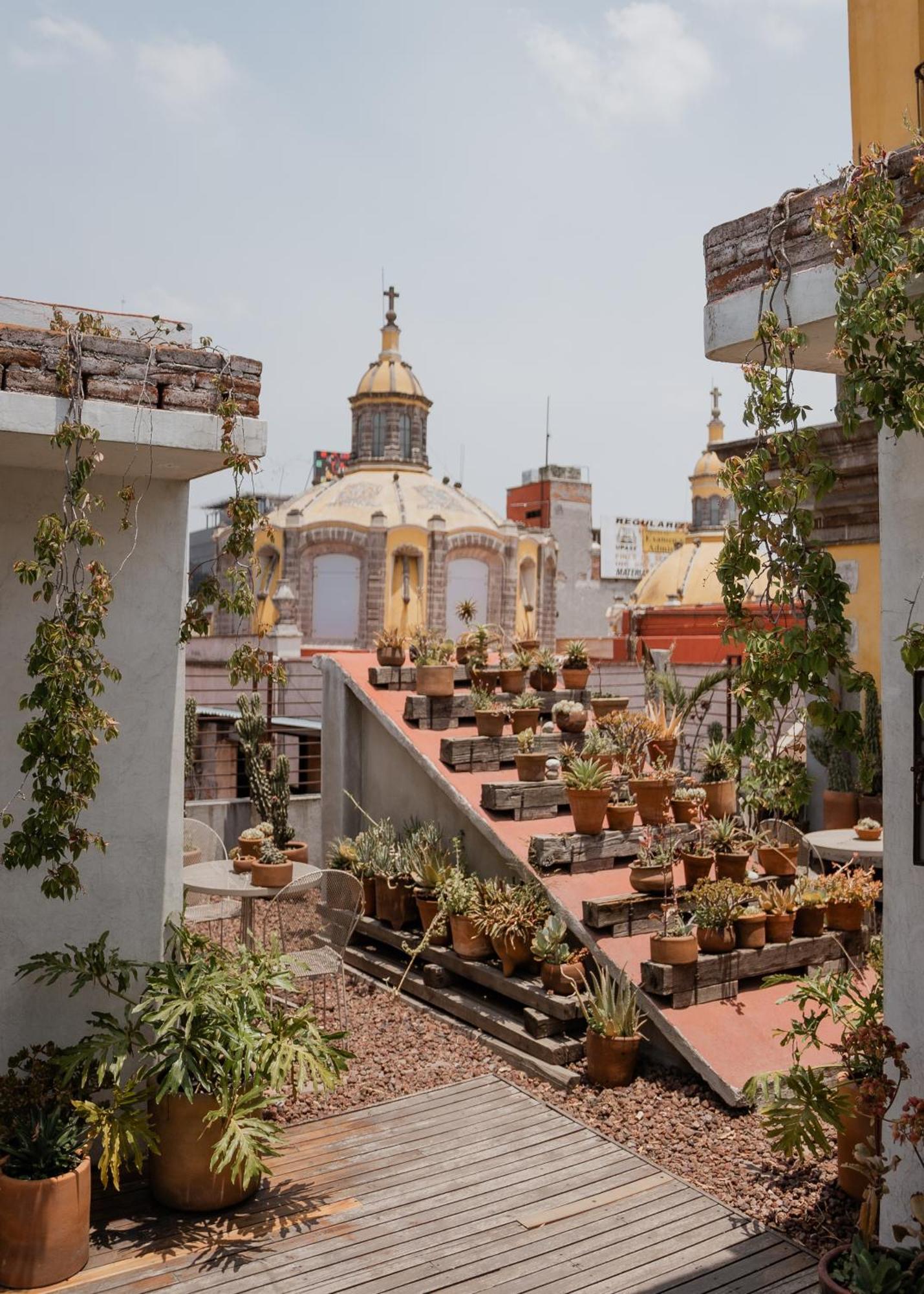 Casa Lomah Hotel Мехіко Екстер'єр фото